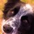 PennyTheWriter :iconpennythewriter: