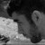 Pensively :iconpensively: