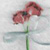 :iconpentarium: