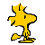 :iconpentax256: