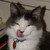 :iconpenthe: