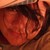 :iconpentwill: