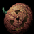 :iconpepey: