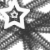 :iconpepper-dragon: