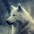 :iconpepper0983:
