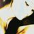 :iconPeppermintFrog: