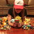 :iconpeppertography: