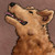 :iconpepsi-is-the-best:
