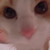 :iconpepsislapface: