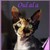 :iconpepsol: