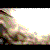 :iconper-KUS-a: