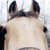 :iconpercaratography: