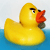 :iconperclissigi: