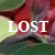 :iconperdidalost: