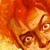 :iconperegrinus5floh:
