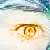 :iconperejil: