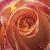 :iconperfect-nature: