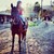 :iconperfectionhorse: