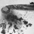 :iconperfectlynumb: