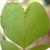 :iconperfectmarionette: