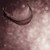 :iconperfectweathertofly: