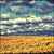 :iconperfectyellow: