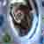 :iconperilke: