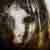 :iconperipatetic-silence: