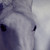 :iconperishable-beauty: