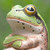:iconperiya: