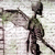 :iconperpetual-visionary: