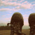 :iconperpetual-youth: