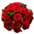 :iconperrronnne: