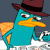 :iconperrygirls: