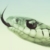 :iconpersonas4u: