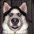 :iconpersonwhowatchesmany: