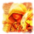 :iconperunac: