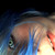 :iconperversegirl6: