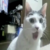 :iconpervertedtortoise: