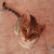 :iconperziafelidae:
