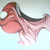 :iconpescatardiva: