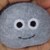 :iconPet-Rock: