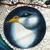 :iconpetalbrush: