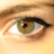 :iconpetask: