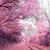 :iconpeter5045: