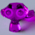 :iconpeterbru: