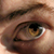 :iconpeterholland: