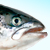 :iconpeterlesaumon: