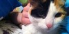 :iconpetgriefsupport: