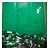 :iconpetit-chaperon: